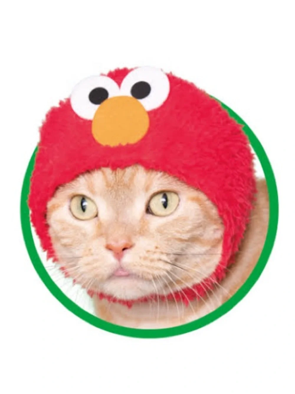 Japan Gashapon Sesame Street pet Costume Hat -Price for one